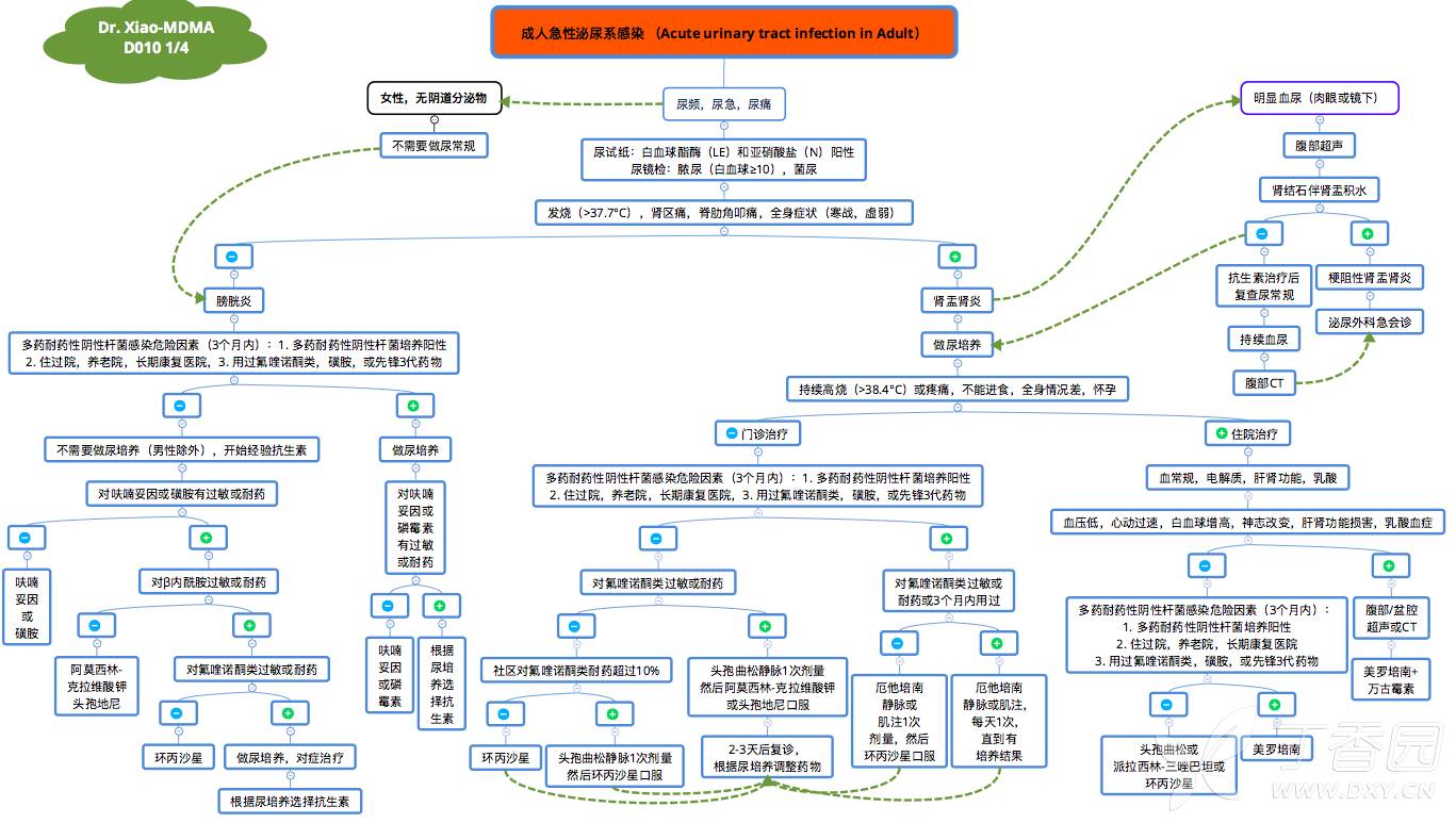 常见成人泌尿系感染临床决策思维导图(mdma)