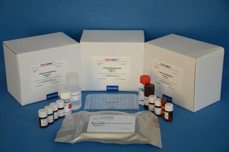 猪抗胰岛素受体抗体(AIRA)酶联免疫吸附测定试剂盒免费代测