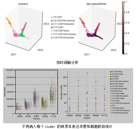 伯豪生物单细胞测序结果分享3