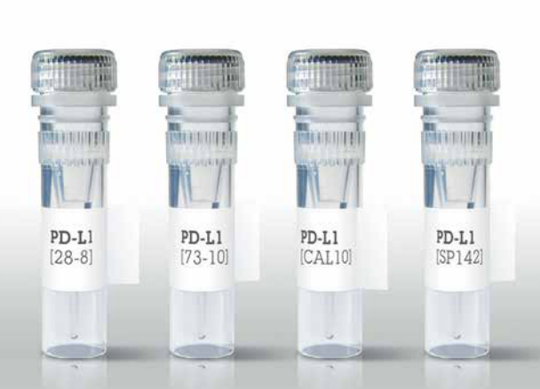 PD-L1抗体组合