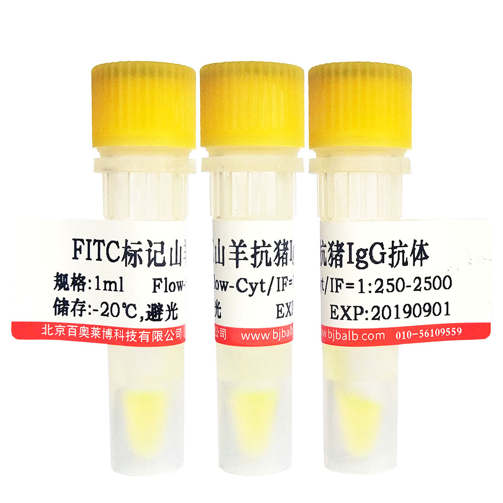 FITC标记鸡卵白蛋白(OVA-FITC)