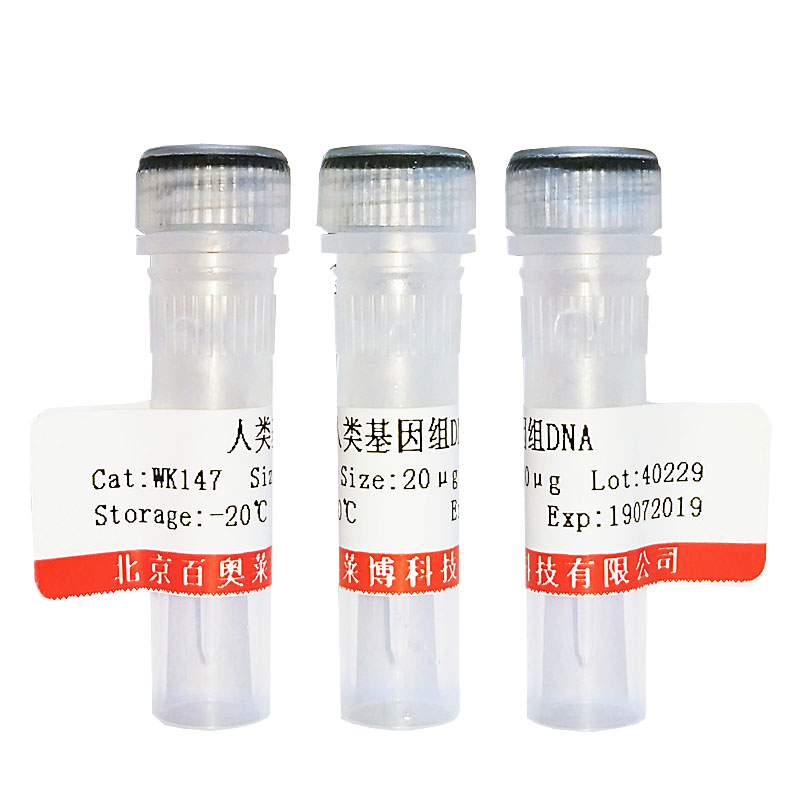 硫酸卡那霉素溶液（10mg/ml)试剂