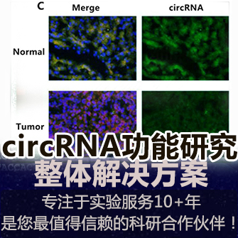 circRNA研究整体解决方案