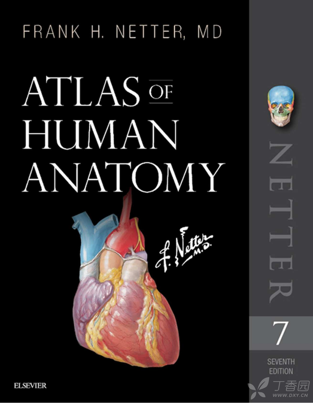netters atlas of human anatomy, 7th edition 奈特人体解剖学图谱