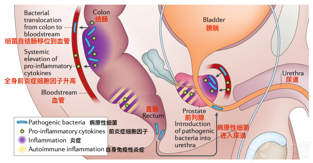 屏幕快照 2019-02-26 下午8.44.09.png