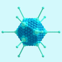 腺病毒包装/ADV/病毒包装