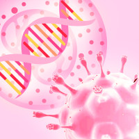 shRNA（3+1）慢病毒套装/敲低基因/腺病毒套装