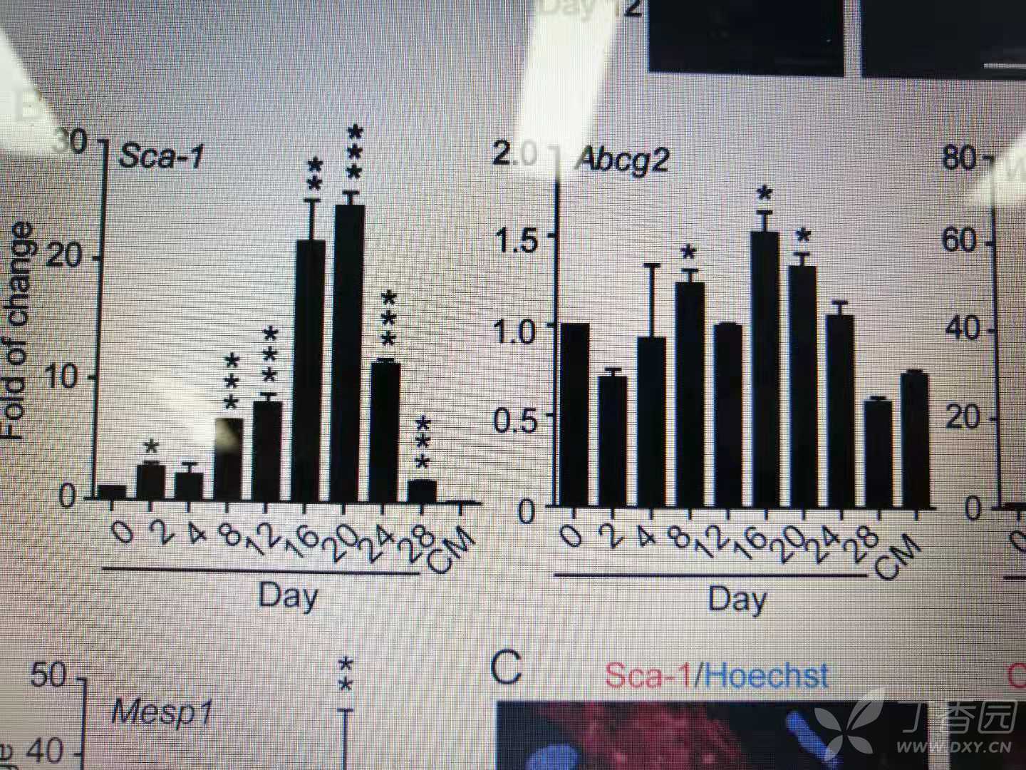 带误差线的柱形图怎么分析?