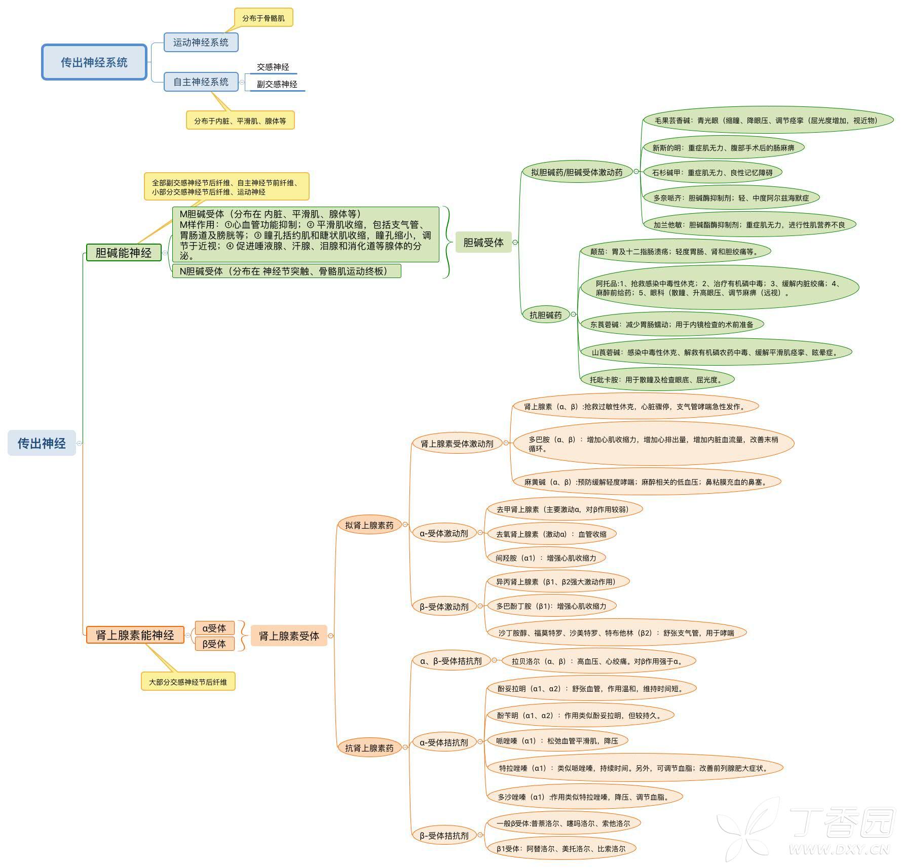 传出神经系统药物总是弄混