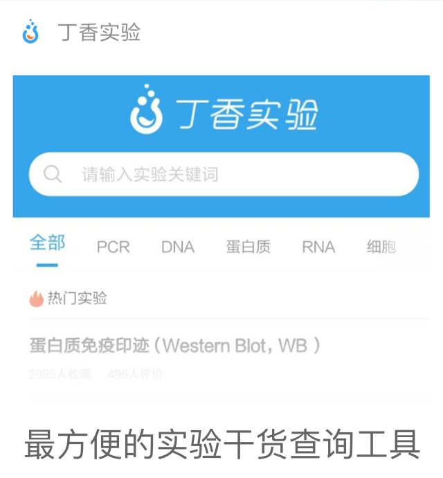 丁香通