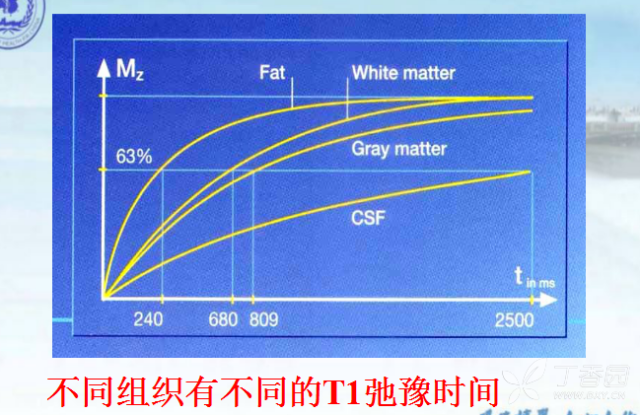 核磁共振的原理是什么_核磁共振原理图解(2)