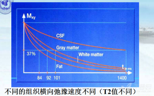 核磁共振的原理是什么_核磁共振原理图解(2)