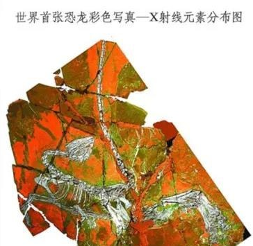 借助高端光谱仪器 世界首张恐龙彩照写真生成
