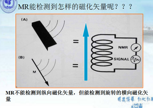 核磁共振的原理是什么_核磁共振原理图解