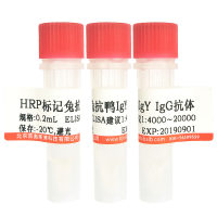 碱性磷酸酶标记兔抗山羊IgG(H+L)