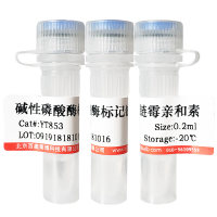 Cy5标记兔抗小鼠IgG二抗