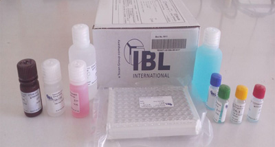 布鲁氏杆菌IgA检测试剂盒