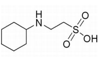 2-(环已胺)乙磺酸