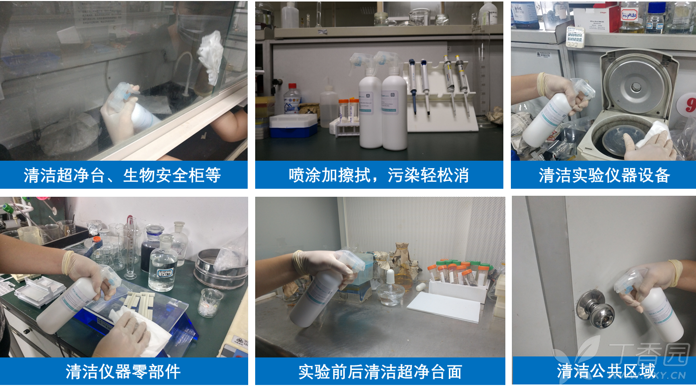 PCR假阳性是什么?怎么清除? - 实验室建设与