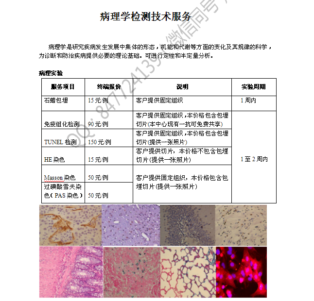 实验室代做实验项目