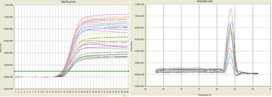实验室代做实验项目