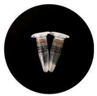 Tth DNA 聚合酶/2×Mix