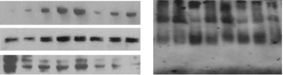 实验室代做实验项目