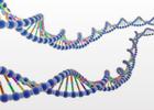 高效口腔拭子基因组DNA提取试剂盒（离心柱型）（DP362）
