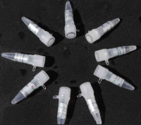 HB101感受态细胞