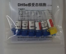 DH10bac(BmNPV)感受态细胞