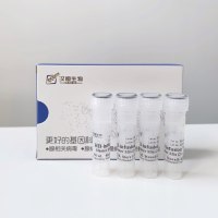 HB-infusion无缝克隆试剂盒