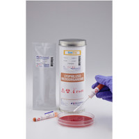 肺炎克雷伯菌 ATCC® 4352™* 