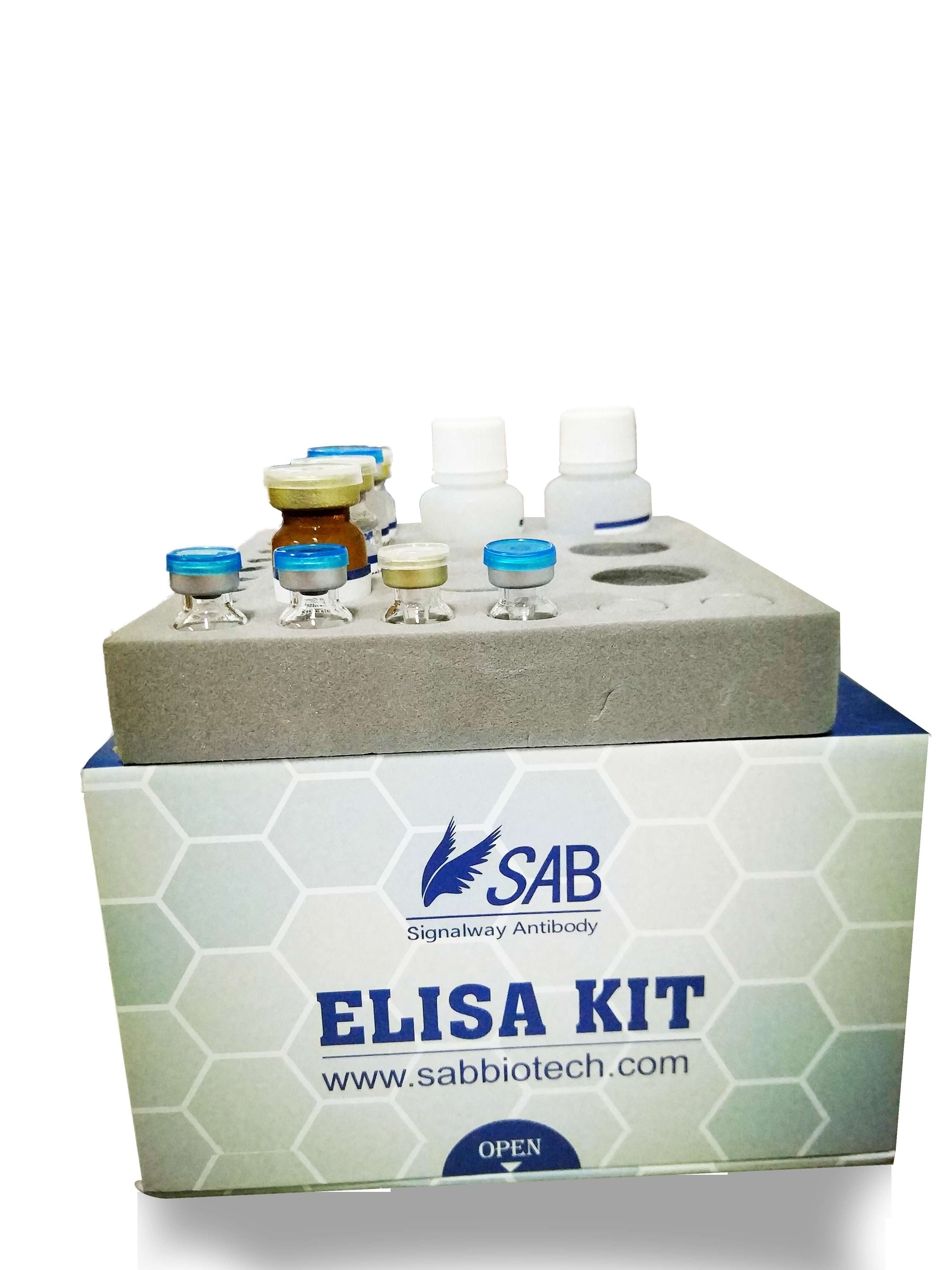 Mouse TNF-α ELISA KIT