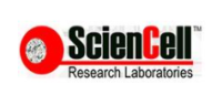 Sciencell特约代理