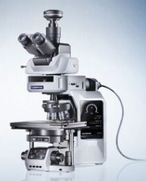 日本奥林巴斯OlympusBX63 自动荧光显微镜