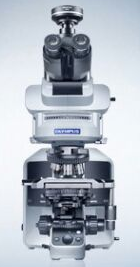 日本奥林巴斯OlympusBX53半电动荧光显微镜