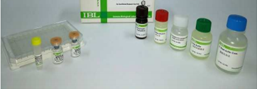 血小板生成素检测试剂盒