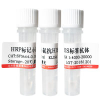 HRP标记His-Tag抗体北京现货
