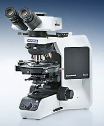 日本奥林巴斯OlympusBX53-P 偏光显微镜