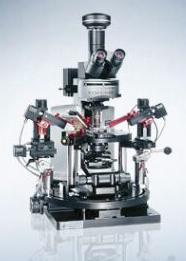 日本奥林巴斯BX61WI/BX51WI电生理学显微镜