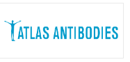 Atlas antibodies特约代理
