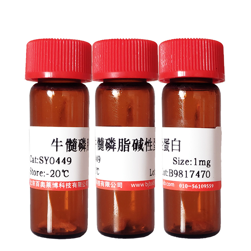 胰蛋白酶（牛胰）(USP级，1：2500；2500USPu/mg（BAEE1万u/mg）)北京现货