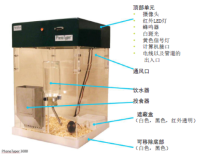 Sylics行为筛选箱