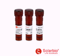 CCCP 细胞凋亡诱导剂(50mM)