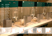 PhenoTyper鼠类家居行为观测箱