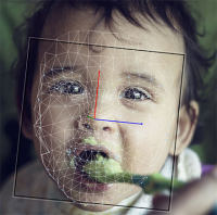 Baby FaceReader婴幼儿面部表情分析系统