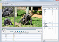 Noldus Observer行为观察记录分析系统