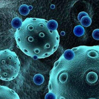 外泌体分离和鉴定