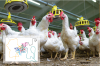 TrackLab智能轨迹分析集成系统