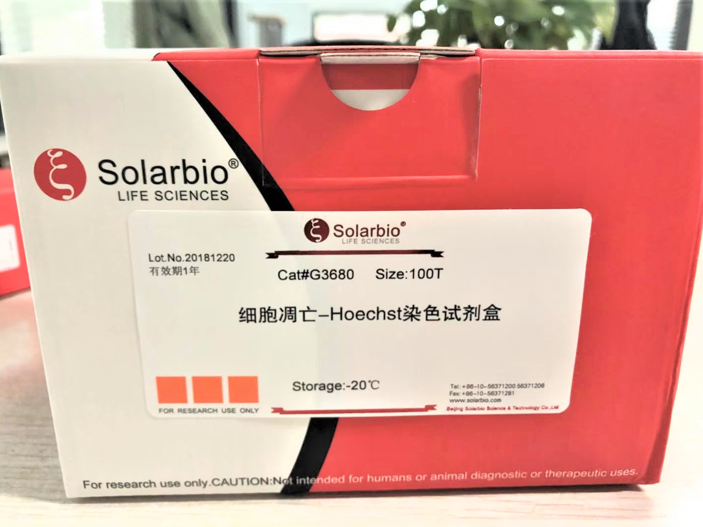 细胞凋亡-Hoechst染色试剂盒